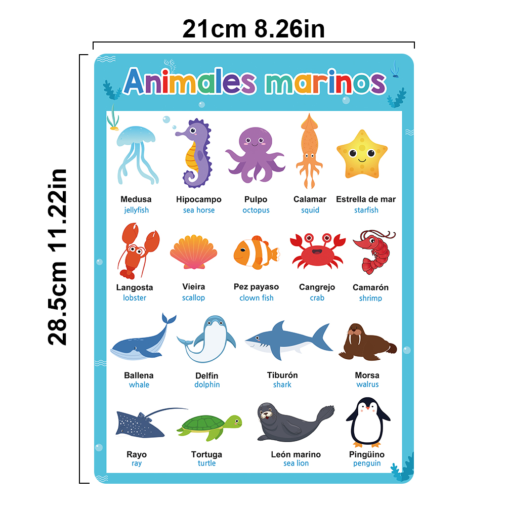 Spanish English Bilingual Word - Phonics Card Game recensione e prezzo