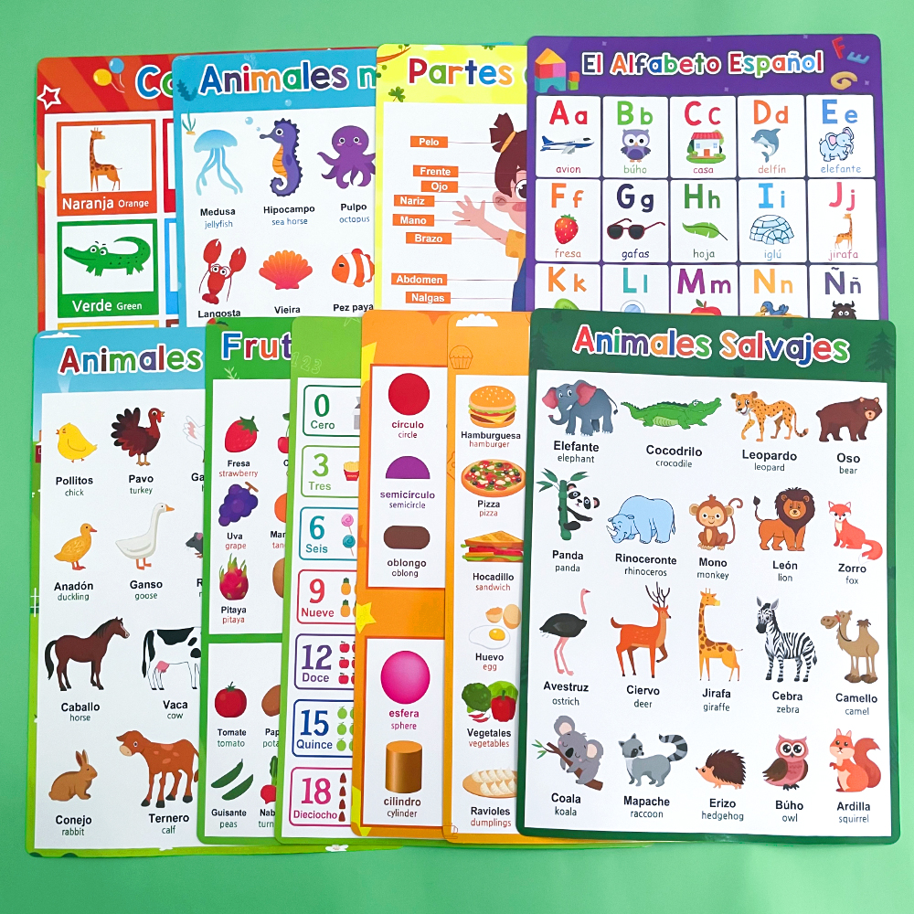 Spanish English Bilingual Word - Phonics Card Game recensione e prezzo