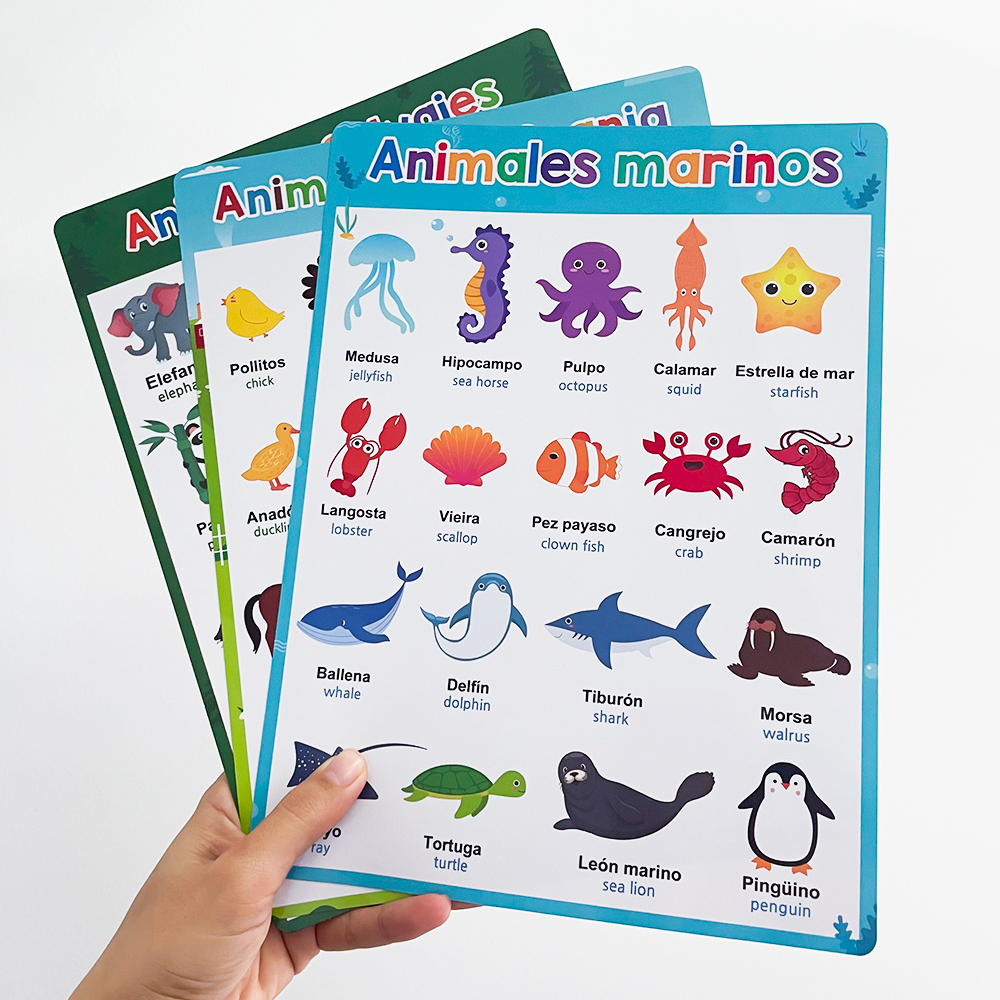 Spanish English Bilingual Word - Phonics Card Game recensione e prezzo